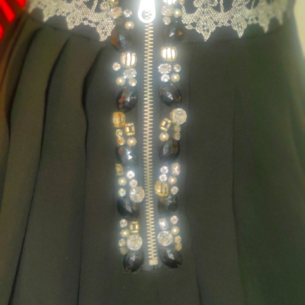 Beaded and pleaded skirt
